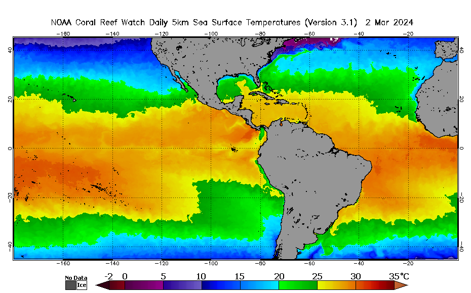 sst_animation_90day_west.gif