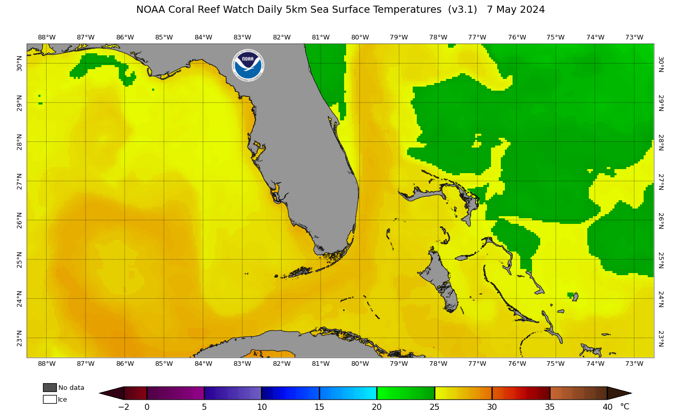 SST map - Sea Surface Temperature. Zone: Florida