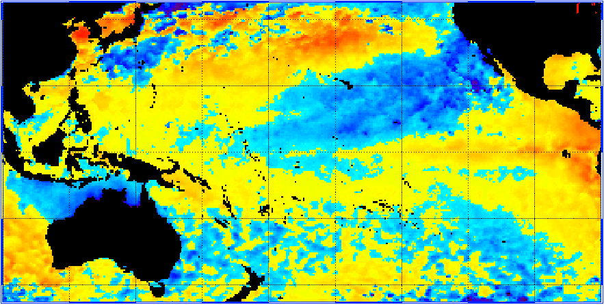 Sample 50 km SST anomaly image for Pacific Ocean