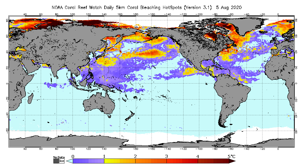 Daily Global 5km Coral Bleaching HotSpot Aug 5 2020