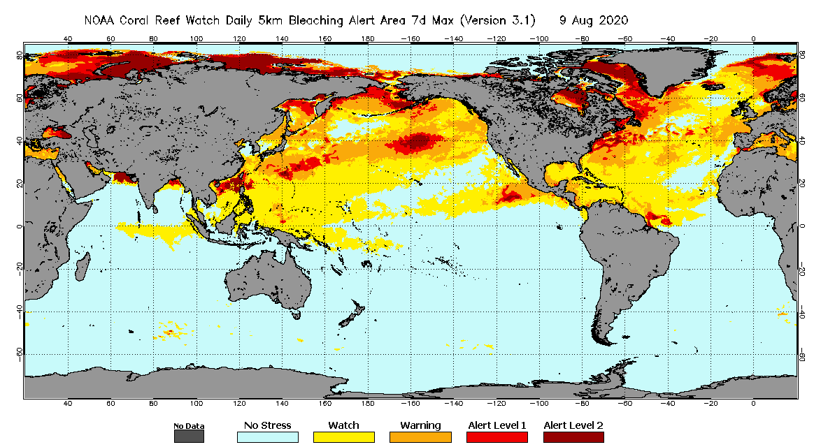 Daily Global 5km Bleaching Alert Area Aug 09 2020
