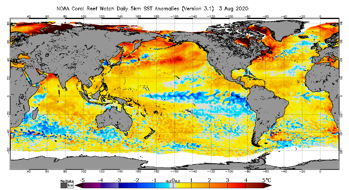 5km SST Anomaly map for Aug 3 2020