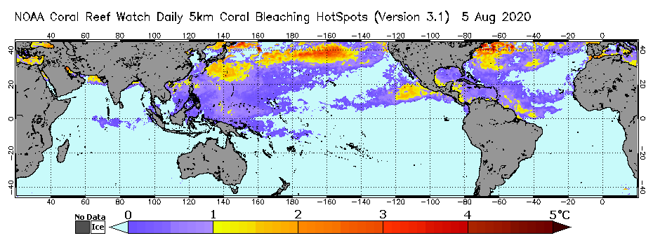 Global Coral Bleaching HotSpot Aug 5 2020