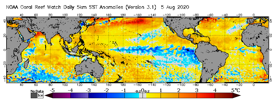 Global SST Anomaly Aug 5 2020