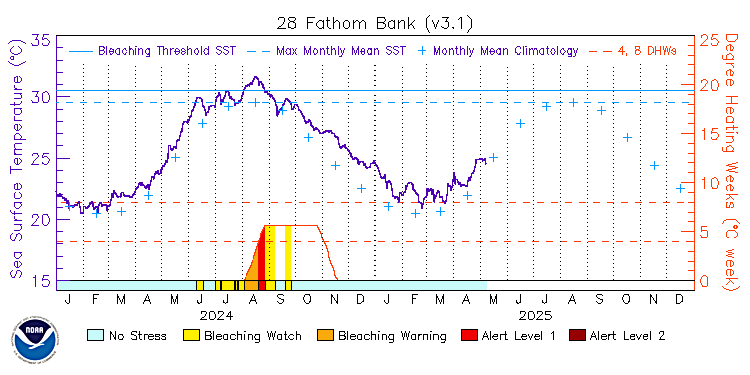 current SST time series