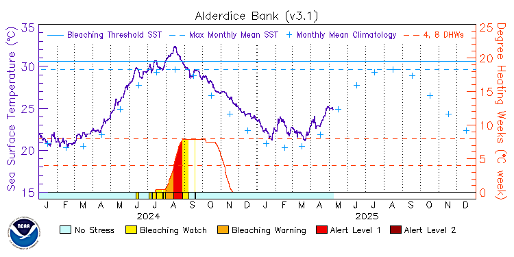 current SST time series