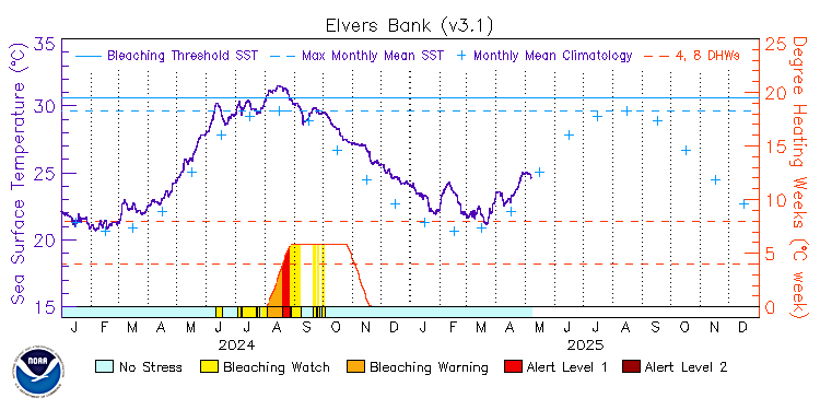 current SST time series