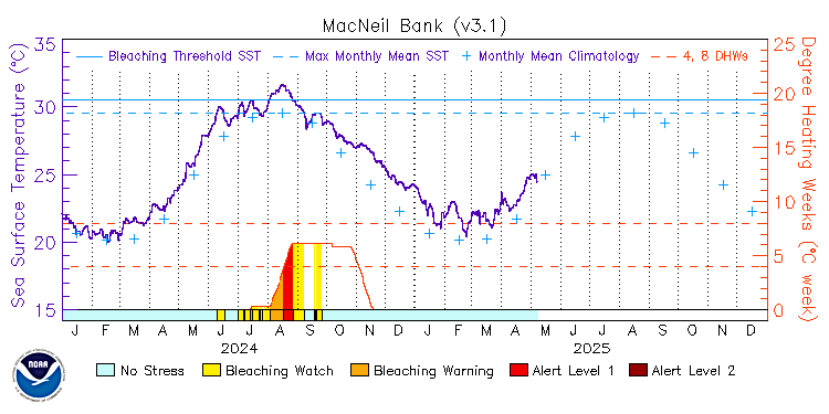 current SST time series