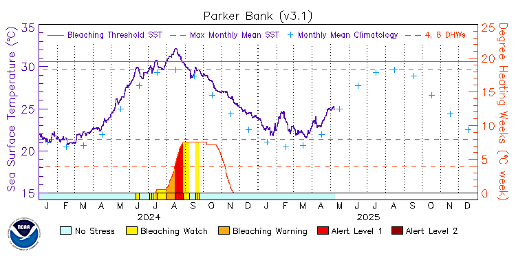 current SST time series