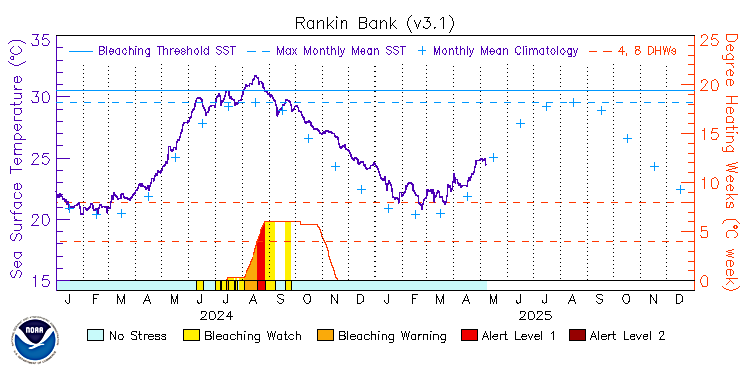 current SST time series