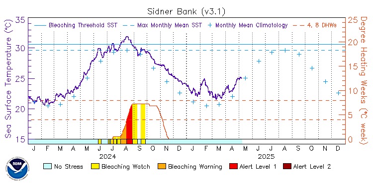 current SST time series