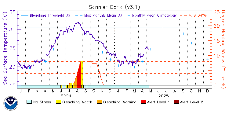 current SST time series