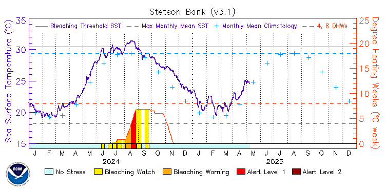 current SST time series