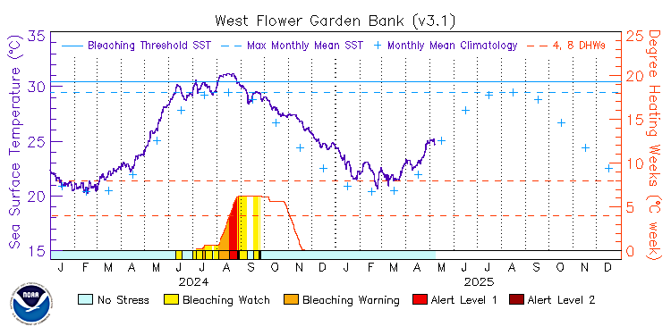 current SST time series