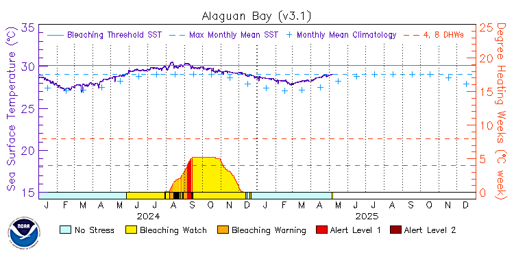 current SST time series