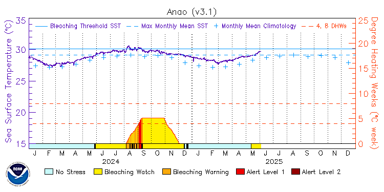 current SST time series