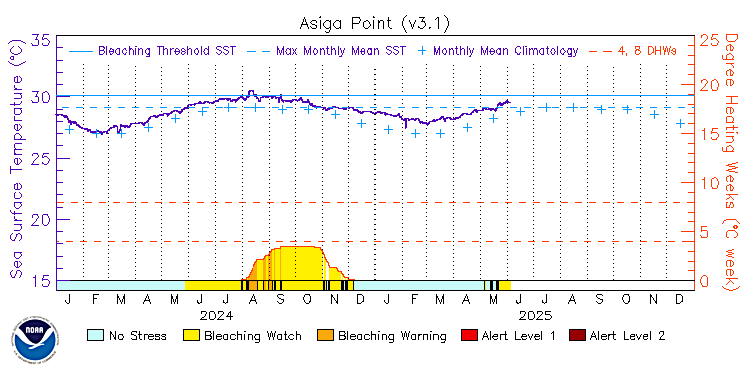 current SST time series