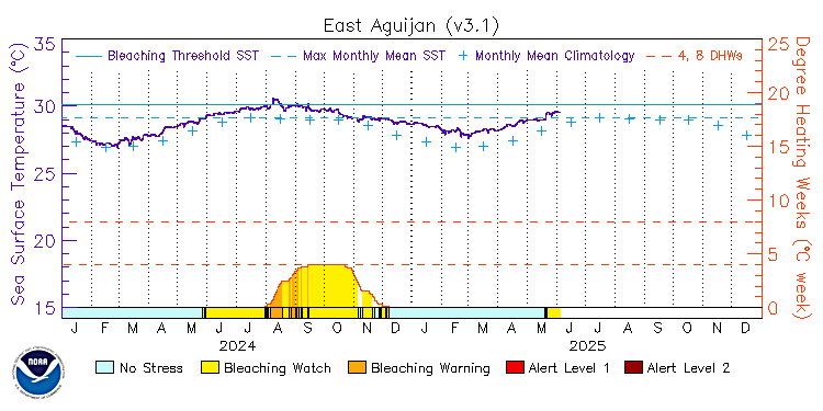 current SST time series