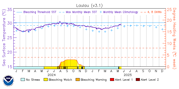 current SST time series