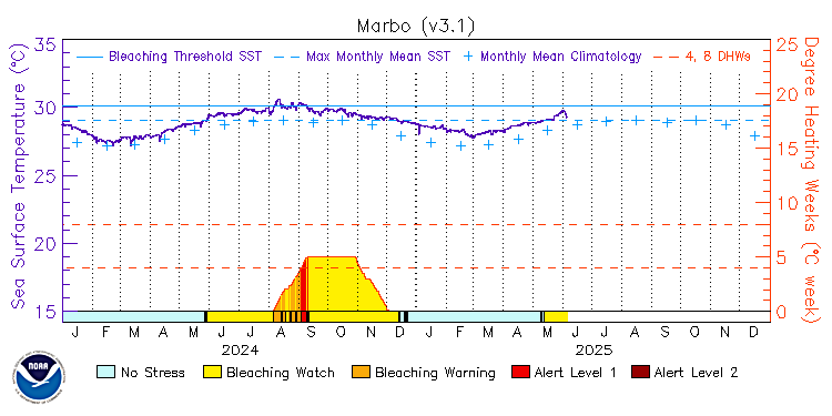current SST time series