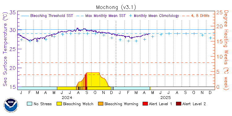 current SST time series