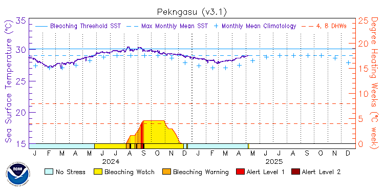 current SST time series