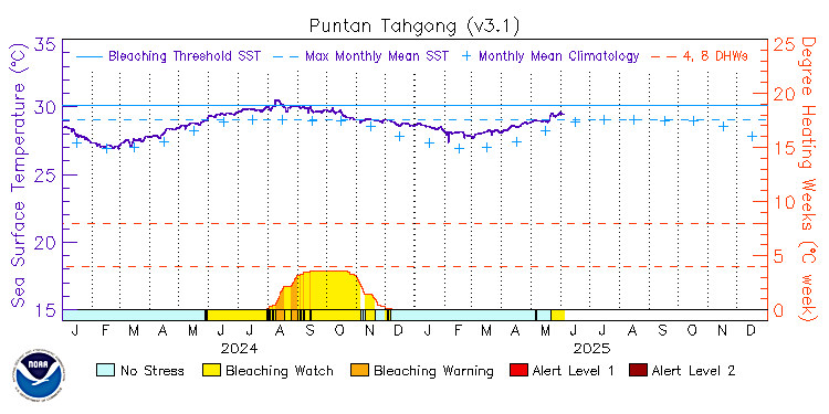 current SST time series