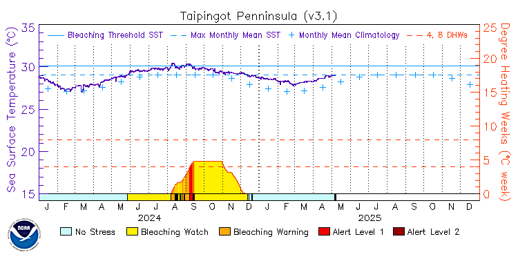 current SST time series