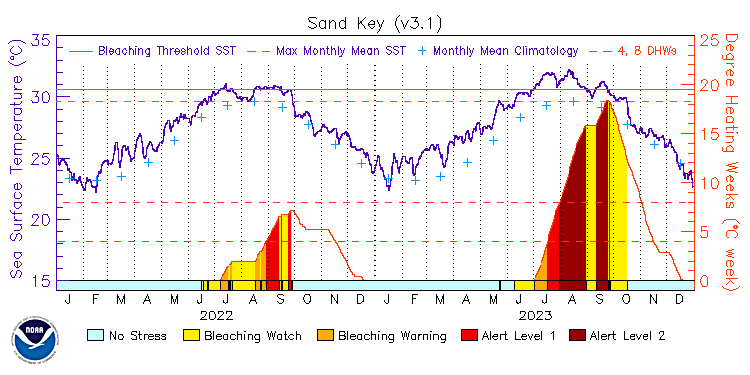 current SST time series
