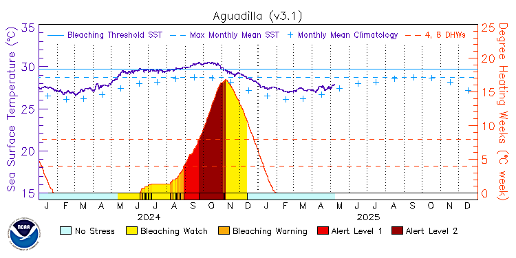 current SST time series