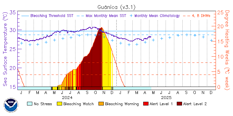 current SST time series