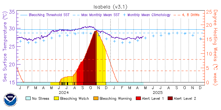 current SST time series