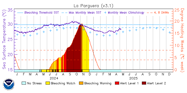 current SST time series