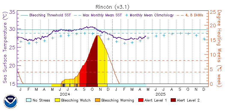 current SST time series