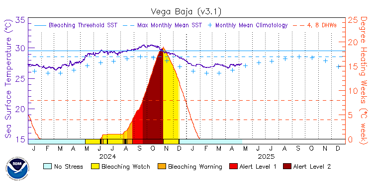 current SST time series