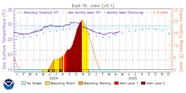 current SST time series