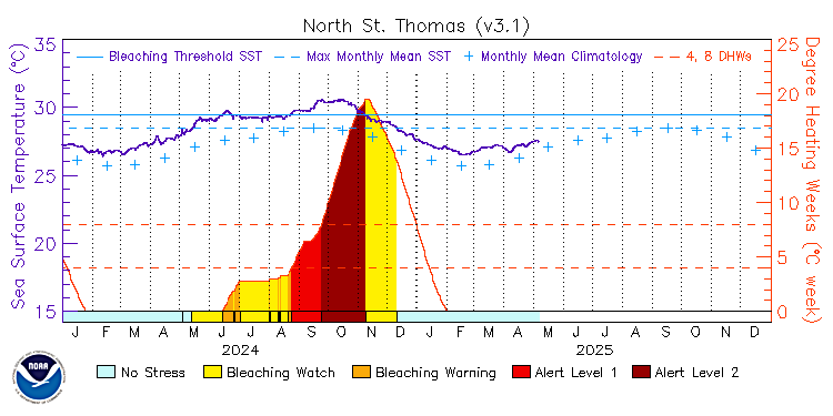 current SST time series