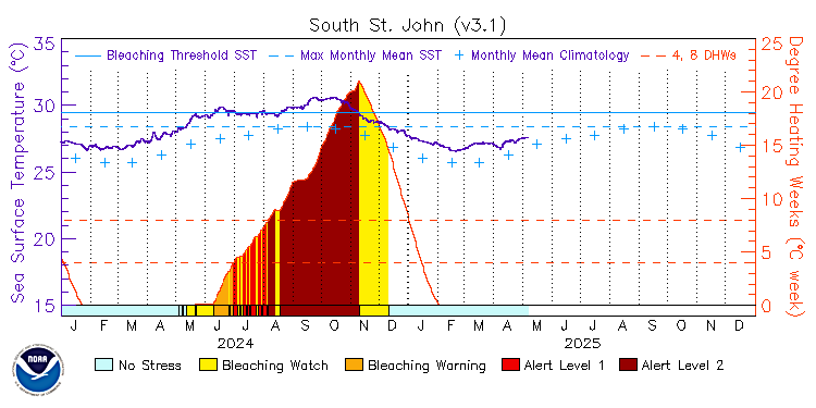 current SST time series