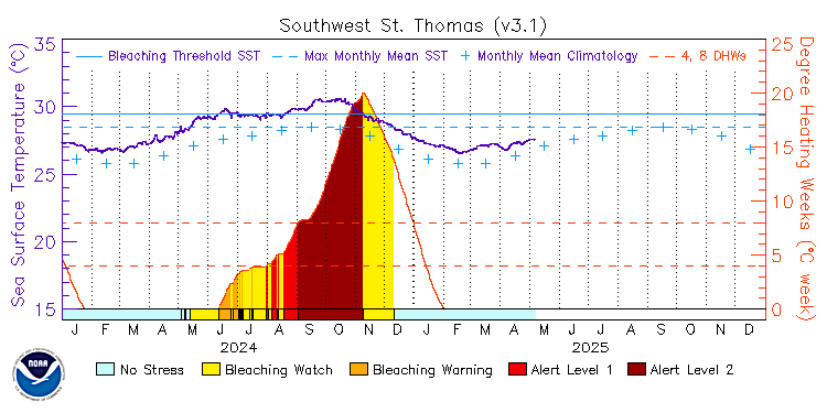 current SST time series