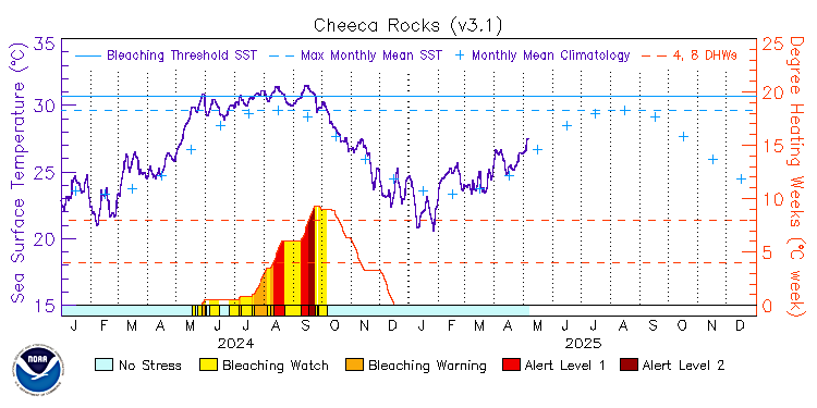 current SST time series