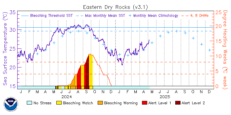 current SST time series