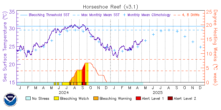 current SST time series