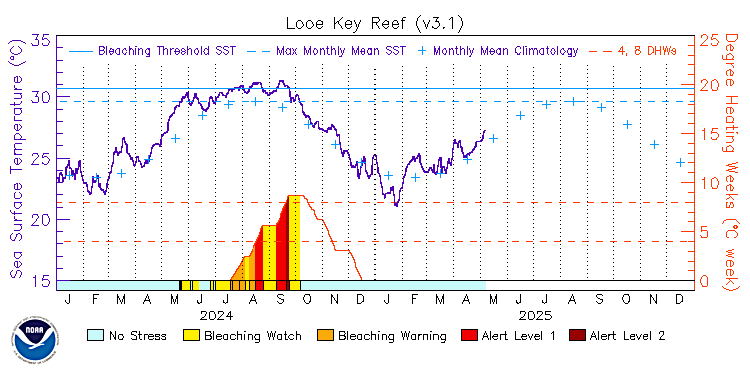 current SST time series