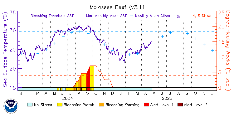 current SST time series