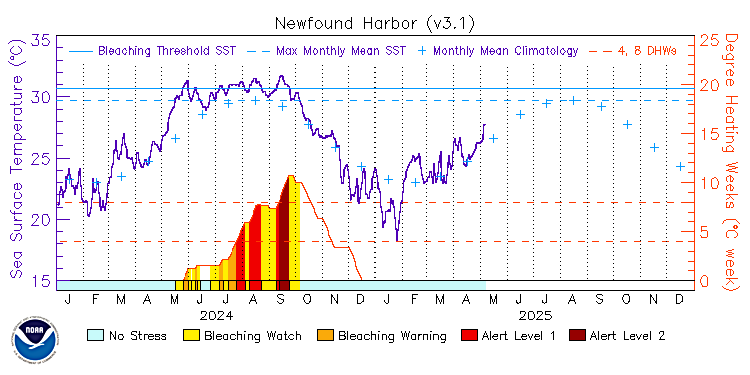 current SST time series