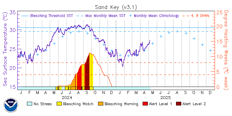 current SST time series