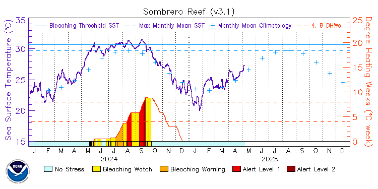 current SST time series
