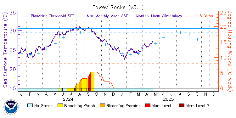 current SST time series