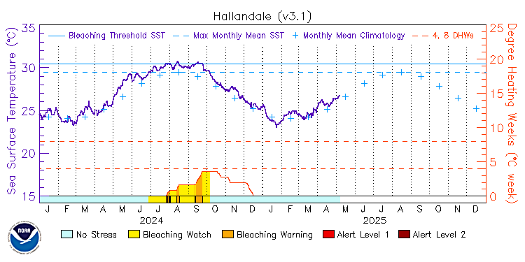 current SST time series
