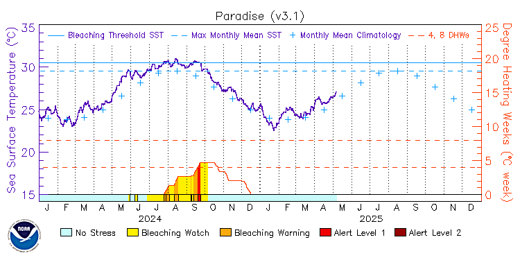 current SST time series